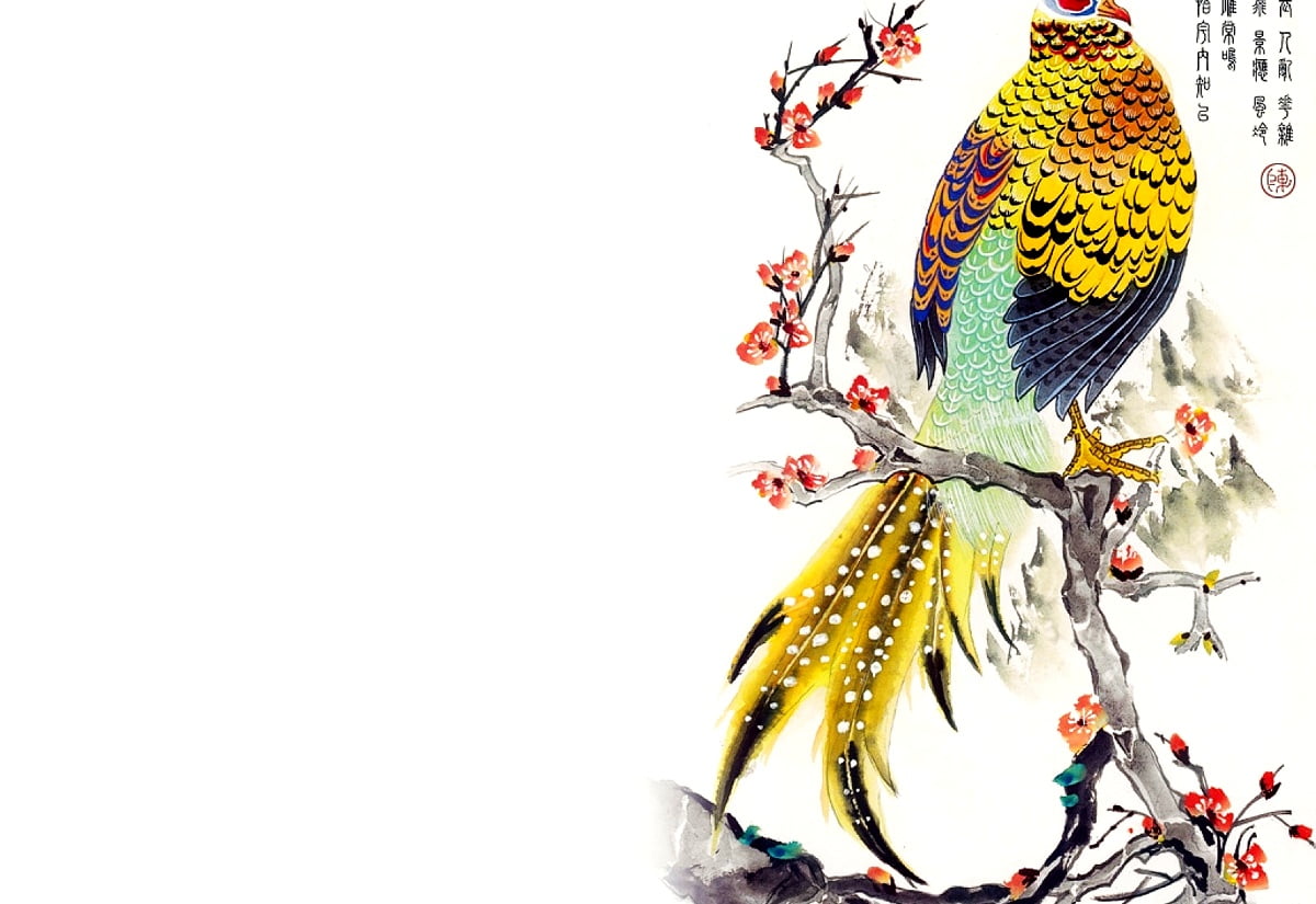 Arte cinese, Pittura cinese, uccello, schizzo, disegno - sfondo