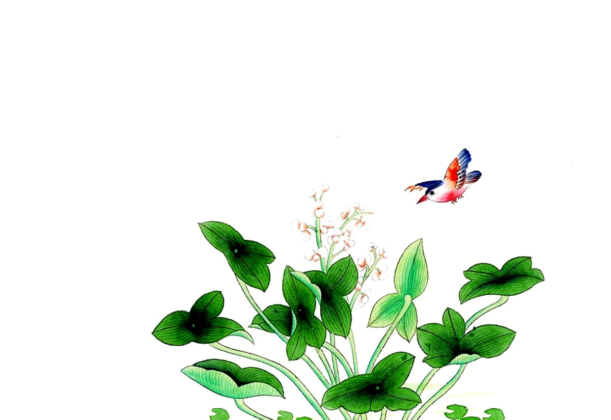 Arte cinese, Pittura cinese, uccello, fiori, animali / gratis HD immagini sfondi (1600x1100)