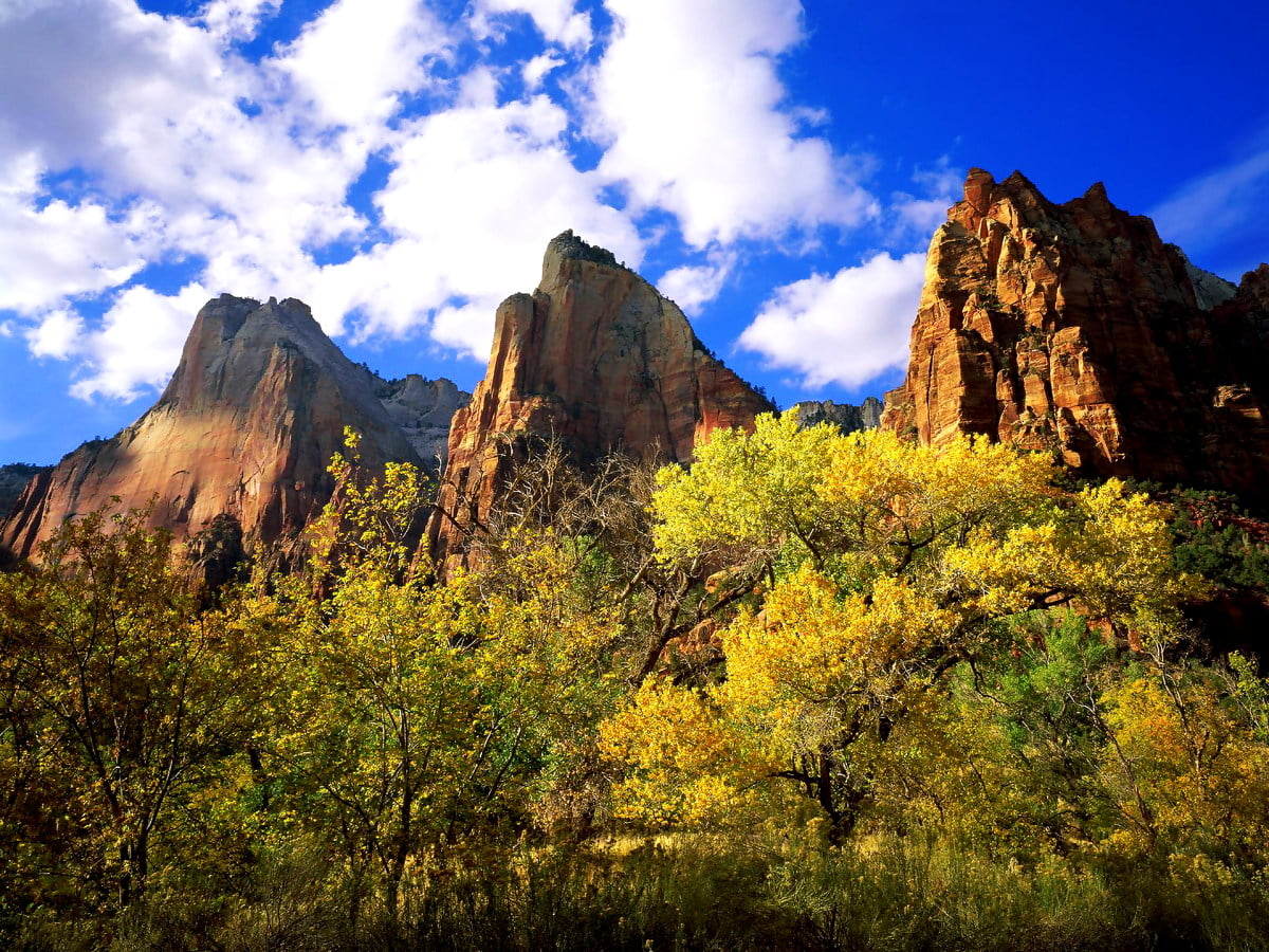 parco nazionale di zion utah stati uniti