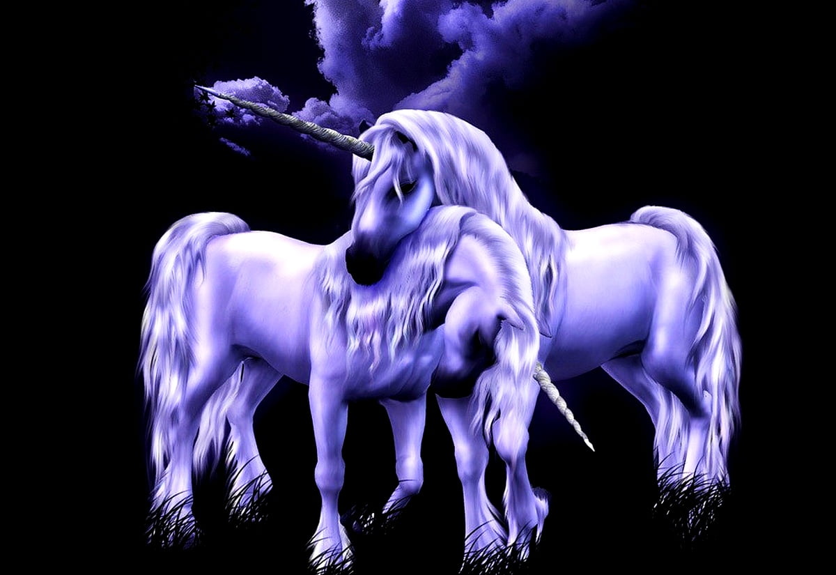 Animali mitici, unicorno, cavallo, criniera, in bianco e nero — gratis sfondo (1600x1100)