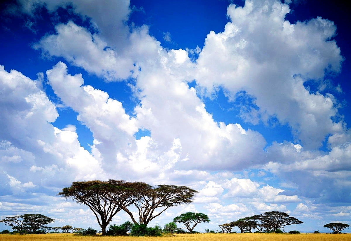Nuvole nel cielo (Africa)