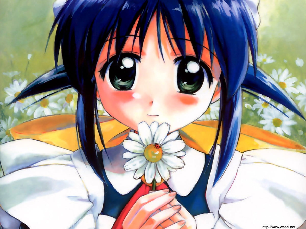250 Sfondi Anime Sfondi Gratis 250 Sfondi Anime Sfondi Gratis